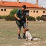 La Escuela de Caza organiza un seminario de Iniciación al Adiestramiento del Perro de Caza